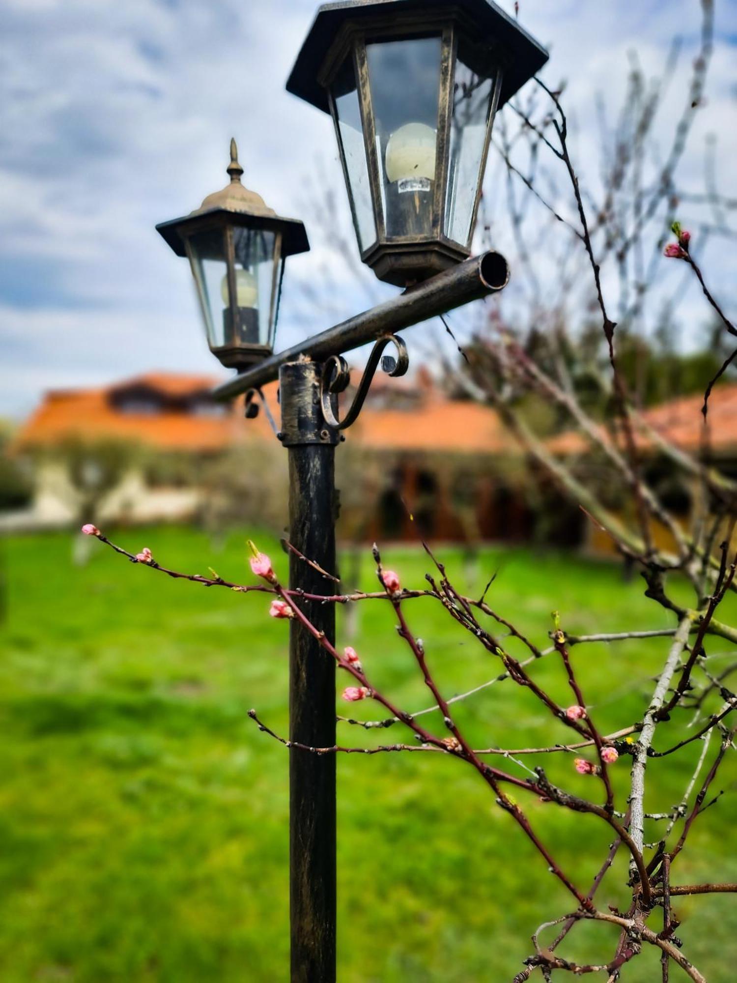 Gryszczeniówka Nocleg ze śniadaniem Wargowo