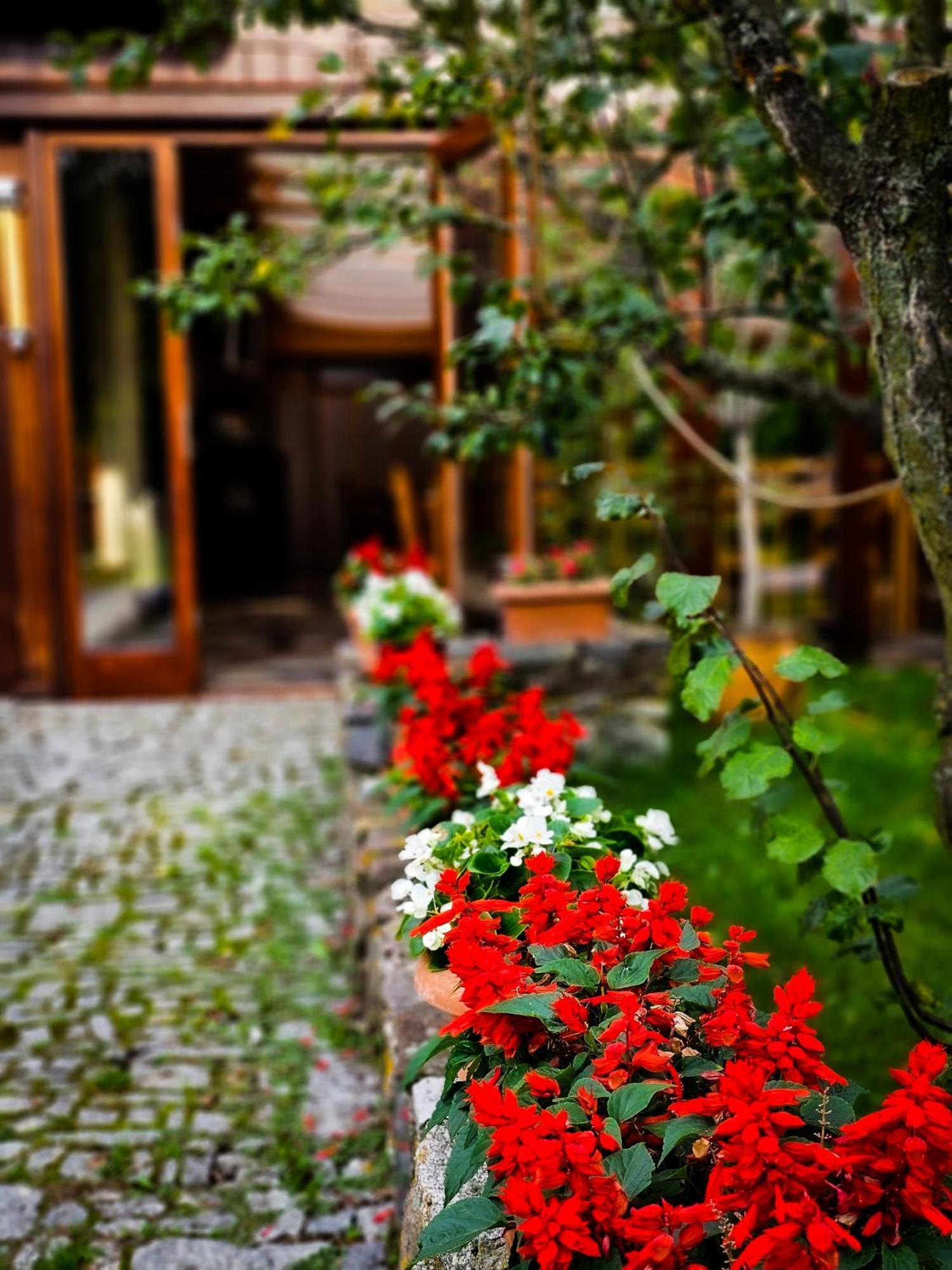 Bed and breakfast Gryszczeniówka Wargowo