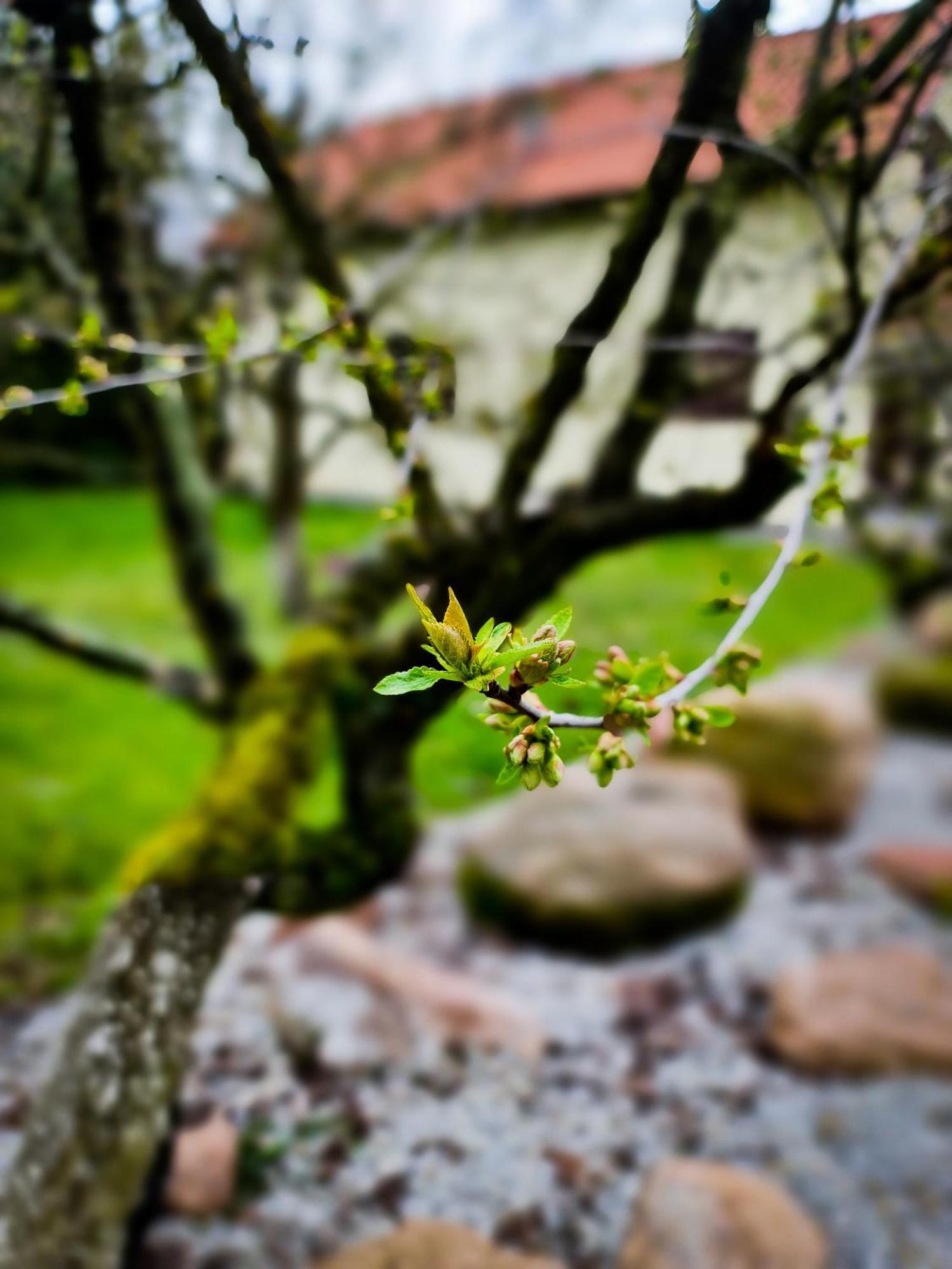 Gryszczeniówka Bed and breakfast
