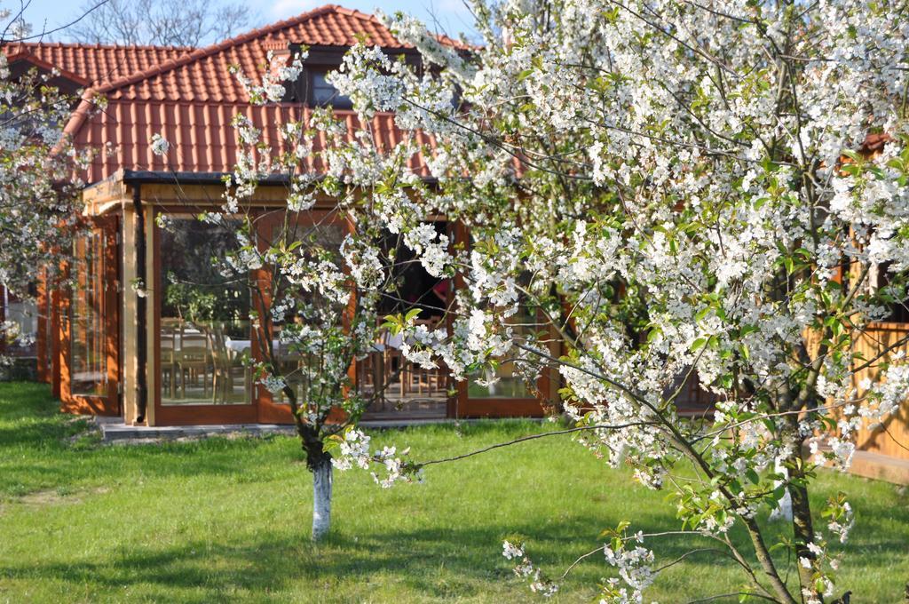 Gryszczeniówka Bed and breakfast